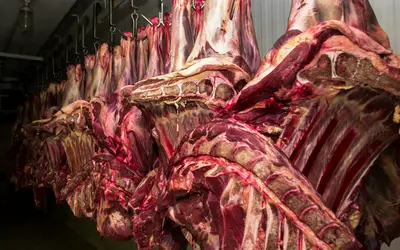 Restrição da China à carne bovina pode causar impacto de US$ 3 bilhões ao Brasil